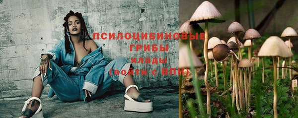 СК Арсеньев
