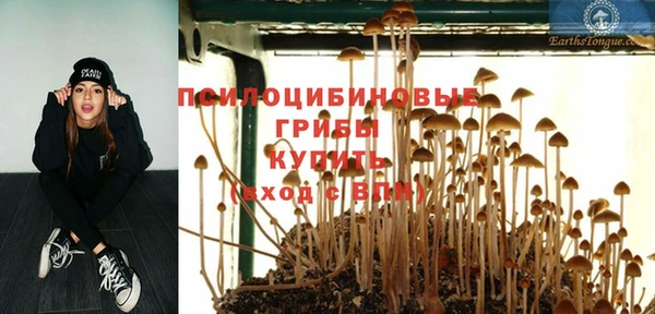 СК Арсеньев