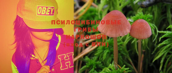 таблы Армянск